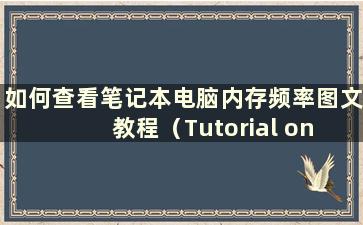 如何查看笔记本电脑内存频率图文教程（Tutorial on how to check the memory rates on alaptop）